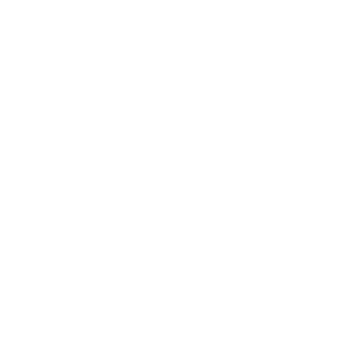 Luxury Lifestyle Essentials