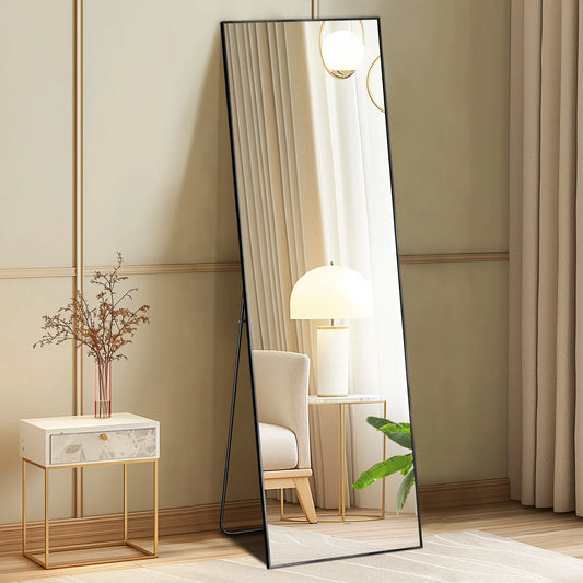 LLE Full-Length Mirror 64" X 21" (with Aluminum Alloy Frame & Stand)